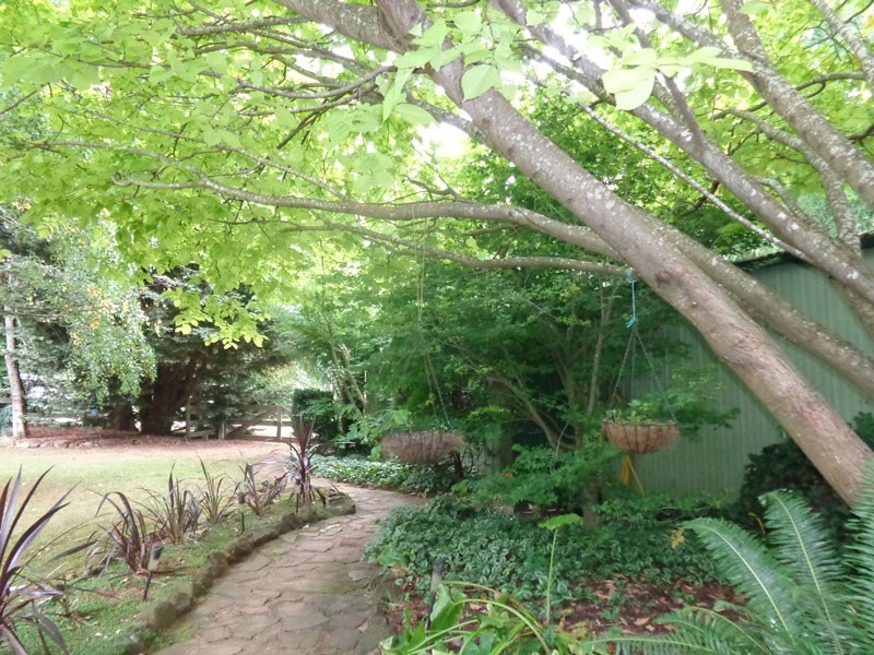 68 Unwins Road, Springfield, Scottsdale TAS 7260