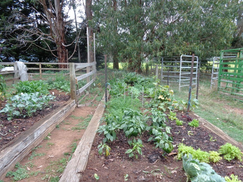 68 Unwins Road, Springfield, Scottsdale TAS 7260