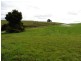 77 Blackwells Road, Winnaleah TAS 7265