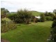 77 Blackwells Road, Winnaleah TAS 7265