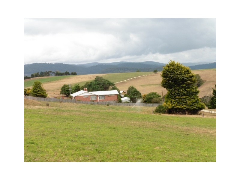 77 Blackwells Road, Winnaleah TAS 7265
