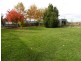 20 Ruby Flats Road, Ringarooma TAS 7263