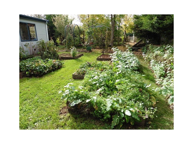 20 Ruby Flats Road, Ringarooma TAS 7263