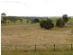 * Banca Road, Winnaleah TAS 7265