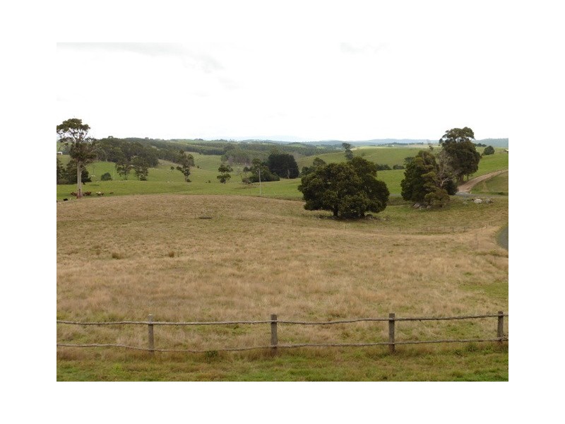 * Banca Road, Winnaleah TAS 7265