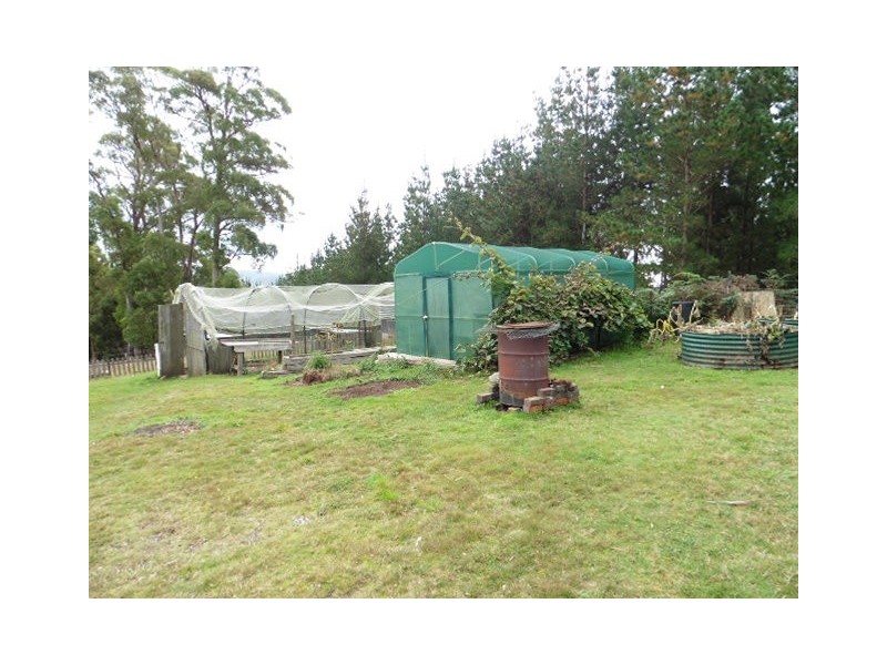 * Banca Road, Winnaleah TAS 7265
