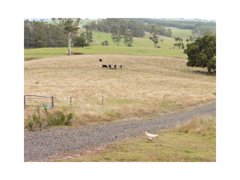 * Banca Road, Winnaleah TAS 7265