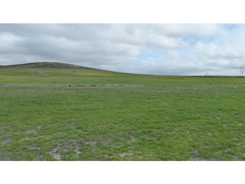 * Barnbougle Road, North Scottsdale TAS 7260