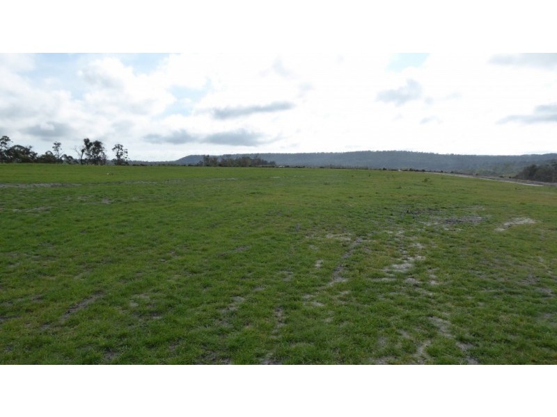 * Barnbougle Road, North Scottsdale TAS 7260