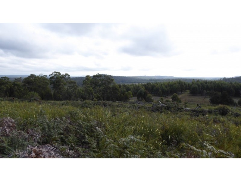 * Barnbougle Road, North Scottsdale TAS 7260