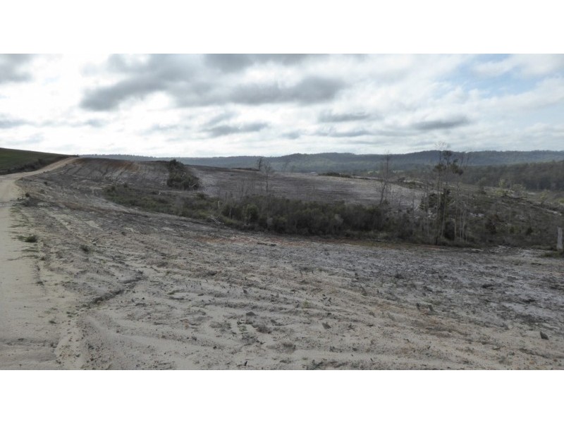 * Barnbougle Road, North Scottsdale TAS 7260