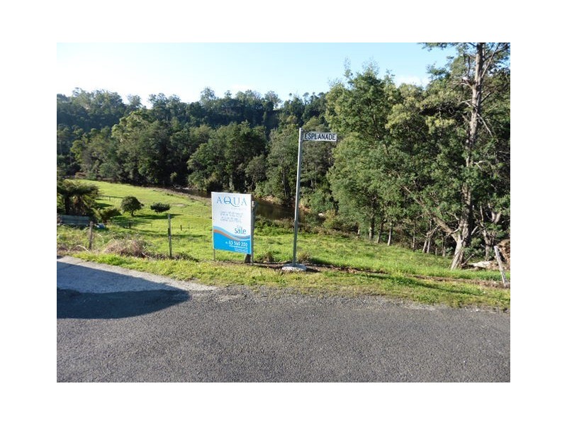 * Main Street, Derby TAS 7264