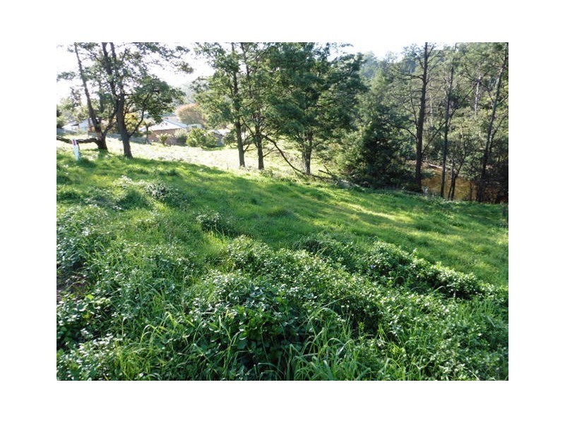 * Main Street, Derby TAS 7264