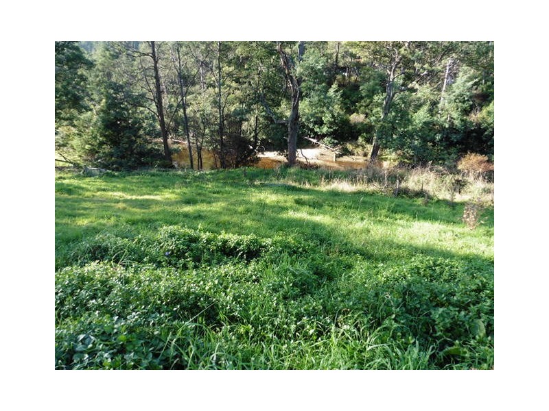 * Main Street, Derby TAS 7264