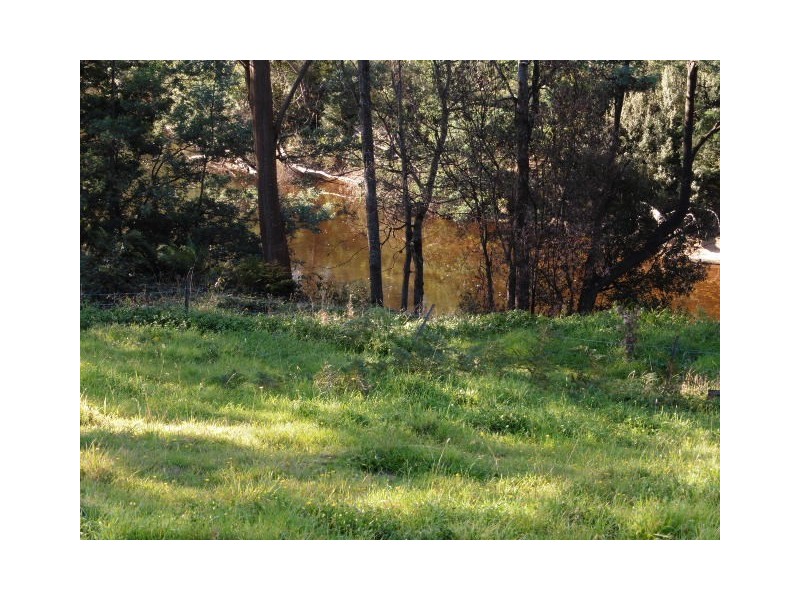 * Main Street, Derby TAS 7264