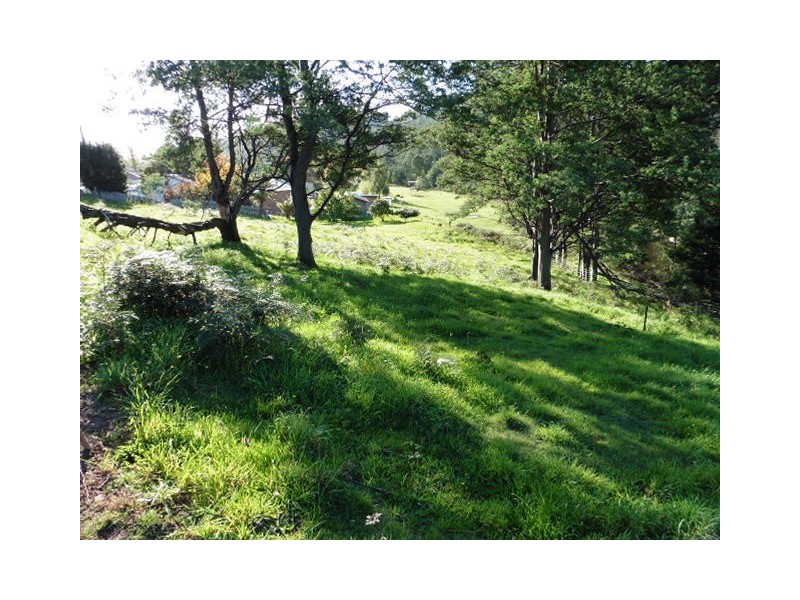 * Main Street, Derby TAS 7264