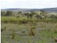 * Old Waterhouse Road, Scottsdale TAS 7260