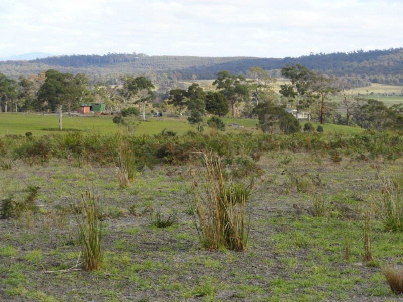 * Old Waterhouse Road, Scottsdale TAS 7260