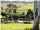 * Old Waterhouse Road, Scottsdale TAS 7260