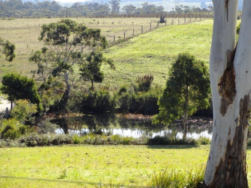 * Old Waterhouse Road, Scottsdale TAS 7260
