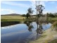 * Old Waterhouse Road, Scottsdale TAS 7260