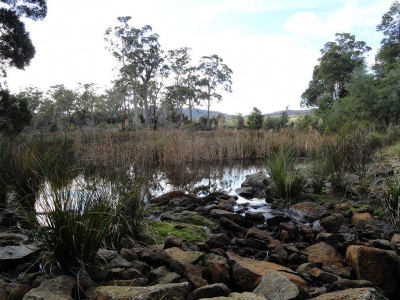 * Old Waterhouse Road, Scottsdale TAS 7260