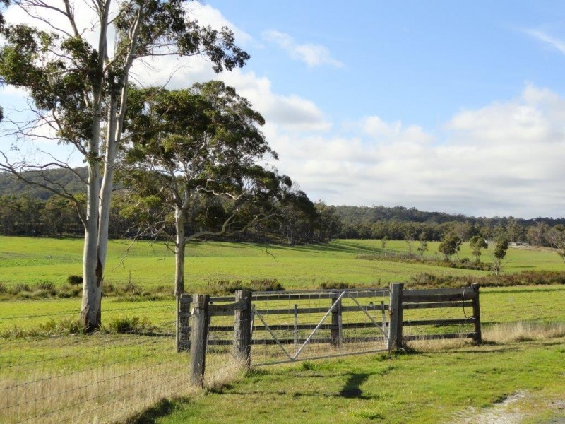* Old Waterhouse Road, Scottsdale TAS 7260