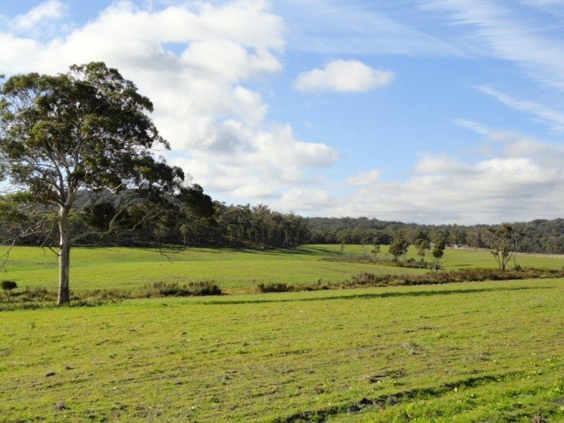 * Old Waterhouse Road, Scottsdale TAS 7260