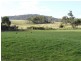 * Old Waterhouse Road, Scottsdale TAS 7260
