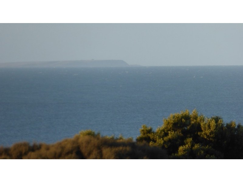 17 Albert Street, Bridport TAS 7262