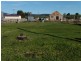 5 Main Street, Winnaleah TAS 7265