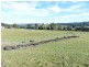 25 Pearce Street, Branxholm TAS 7261
