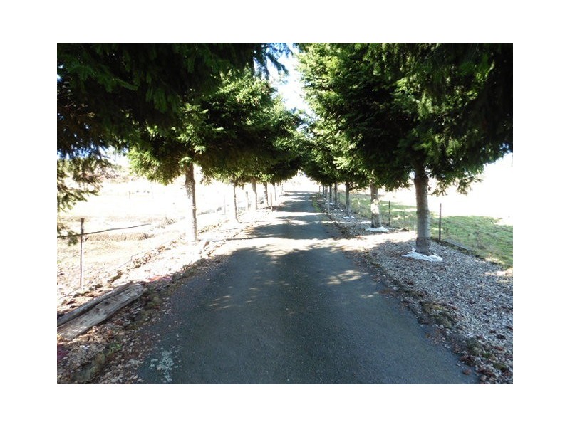 * Pearce Street, Branxholm TAS 7261