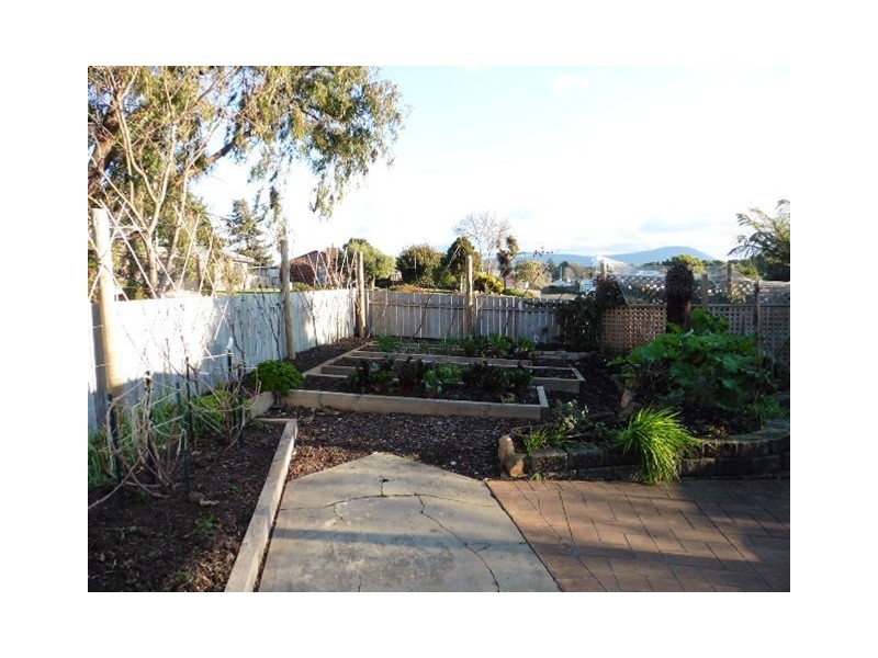 18 Beattie Street, Scottsdale TAS 7260