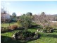 43 Scott Street, Branxholm TAS 7261