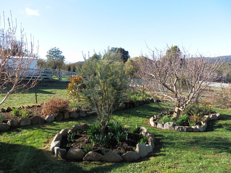 43 Scott Street, Branxholm TAS 7261