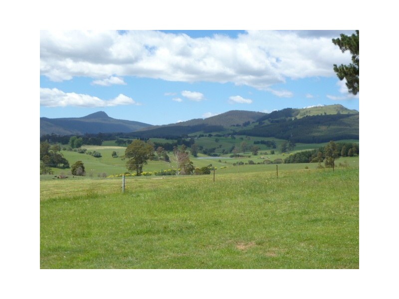 * East Maurice Road, Ringarooma TAS 7263