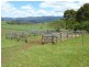 * East Maurice Road, Ringarooma TAS 7263