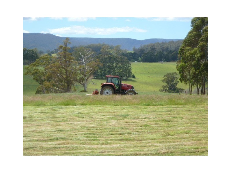 * East Maurice Road, Ringarooma TAS 7263