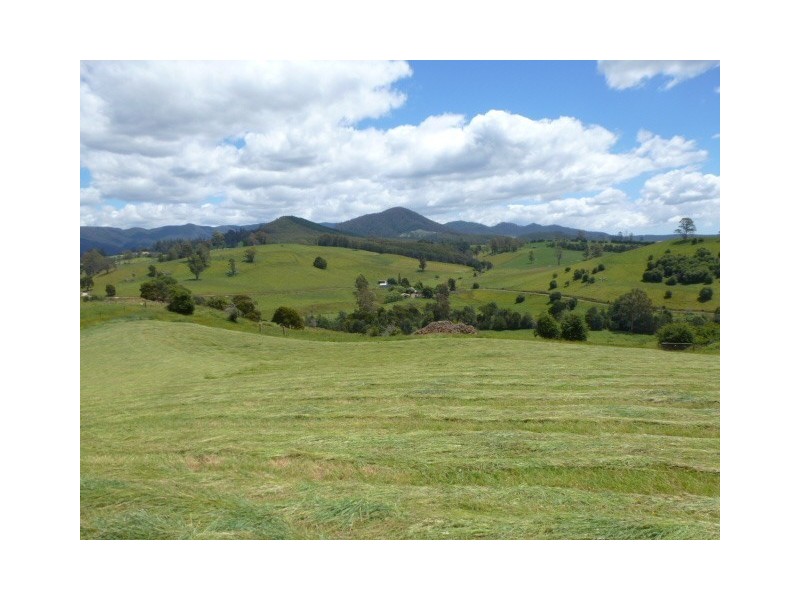 * East Maurice Road, Ringarooma TAS 7263