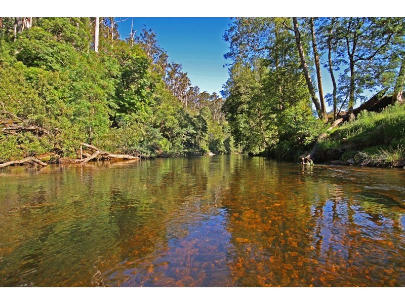 * East Maurice Road, Ringarooma TAS 7263