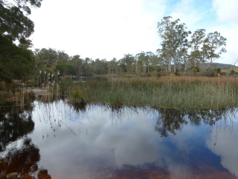 1569 Old Waterhouse Road, Scottsdale TAS 7260