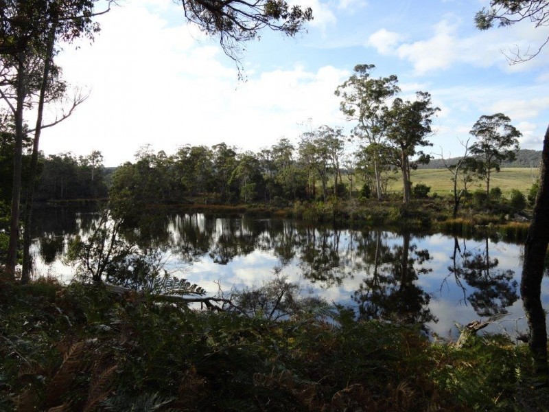 1569 Old Waterhouse Road, Scottsdale TAS 7260