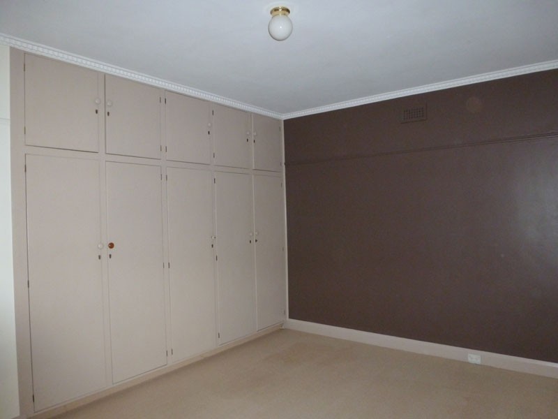 17 Gofton Street, Scottsdale TAS 7260