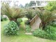 22 Walkers Road, Branxholm TAS 7261