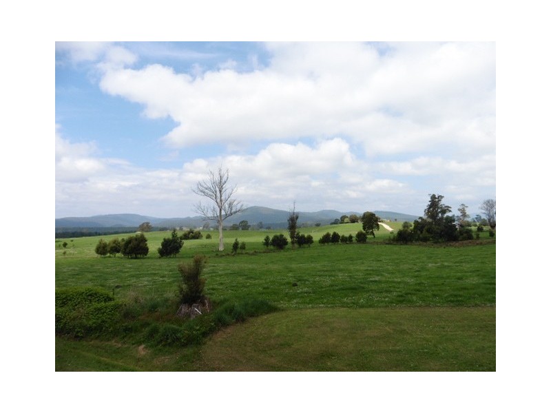 ** Walkers Road, Branxholm TAS 7261