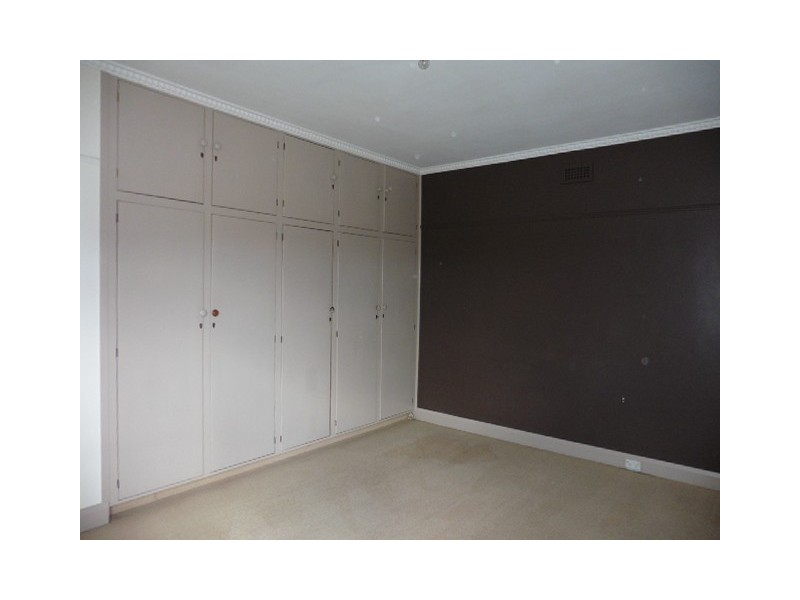 17 Gofton Street, Scottsdale TAS 7260