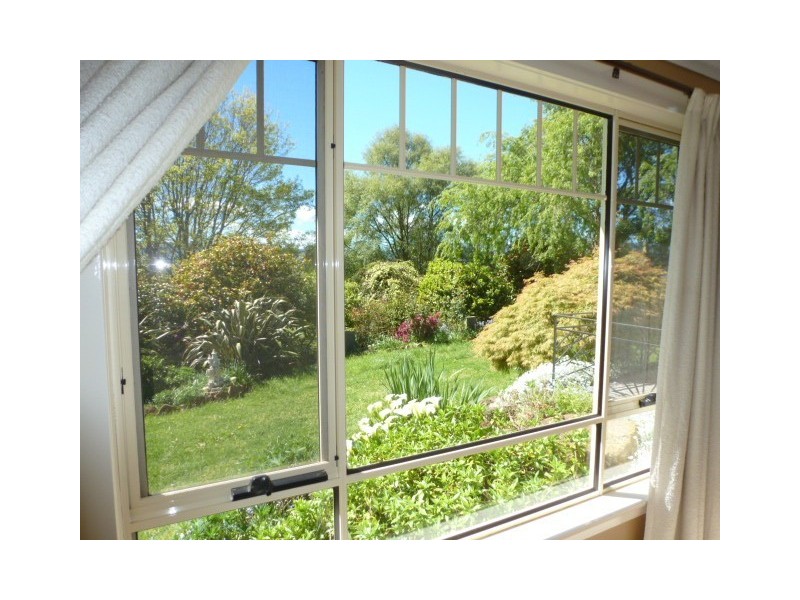 17 Fry Street, Ringarooma TAS 7263