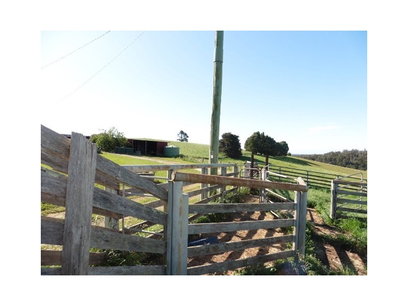 ** Sledge Track, Scottsdale TAS 7260