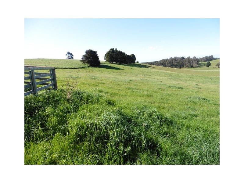 ** Sledge Track, Scottsdale TAS 7260